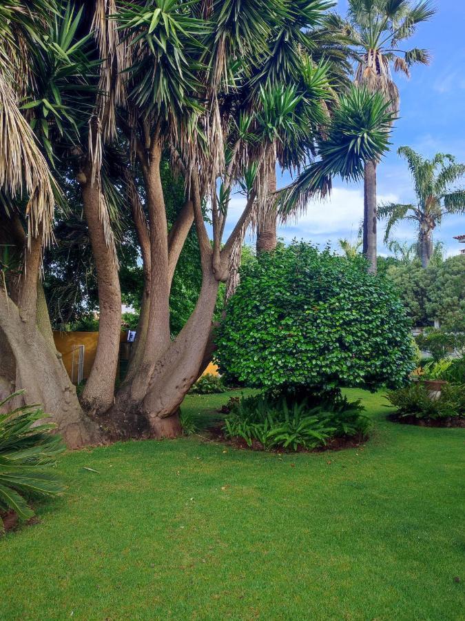 La Chimenea Verde Такоронте Экстерьер фото